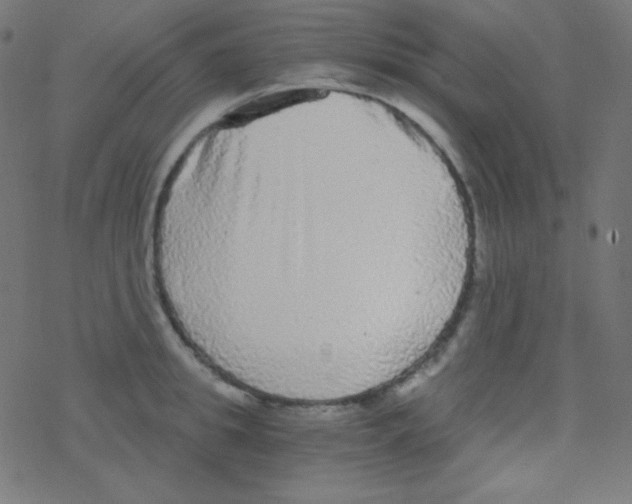 X0000078300949200612011831