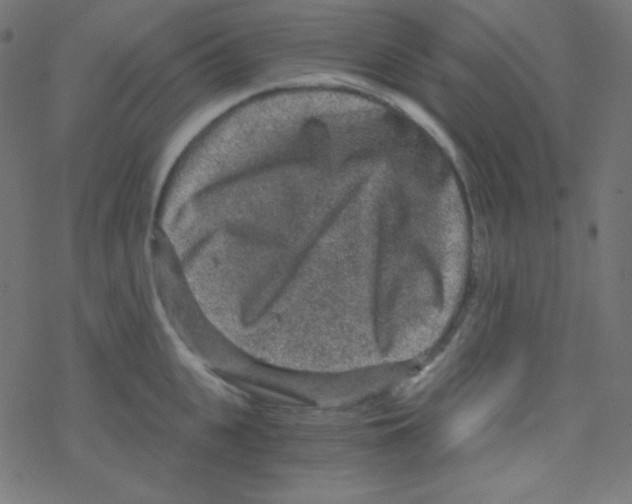 X0000078300951200612011831