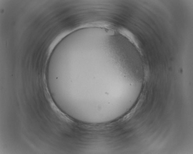 X0000078300952200612011831