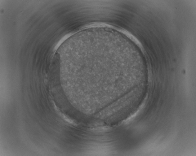 X0000078300953200612011831