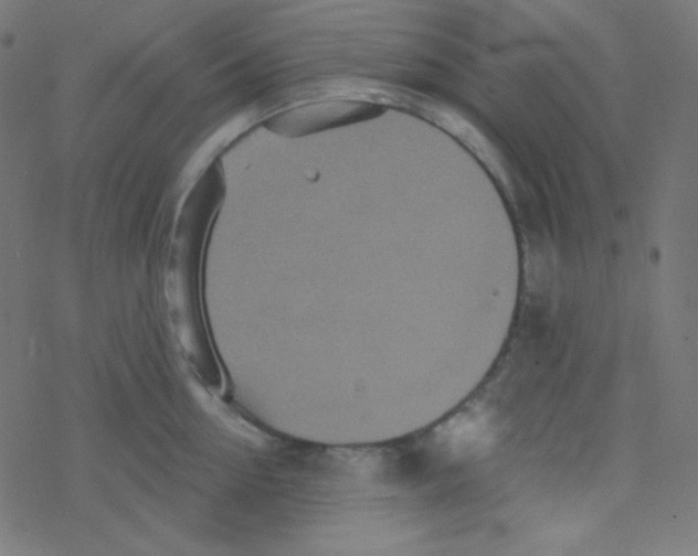 X0000078300954200612011831