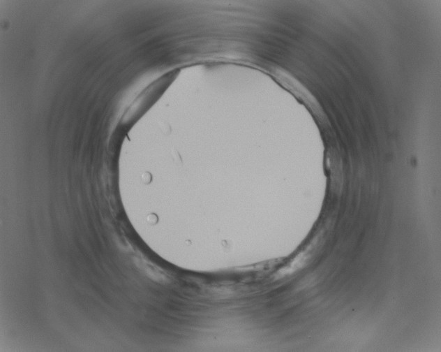 X0000078300956200612011831