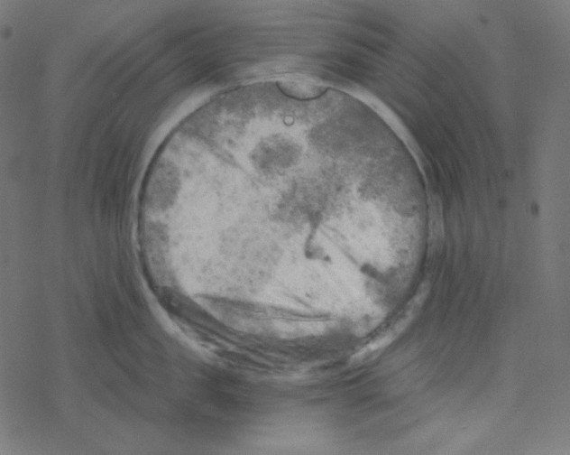 X0000078300957200612011831