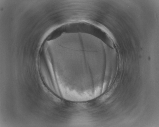 X0000078300958200612011831