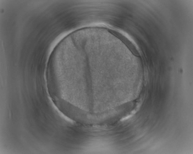 X0000078300959200612011831