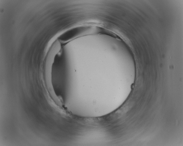 X0000078300960200612011831