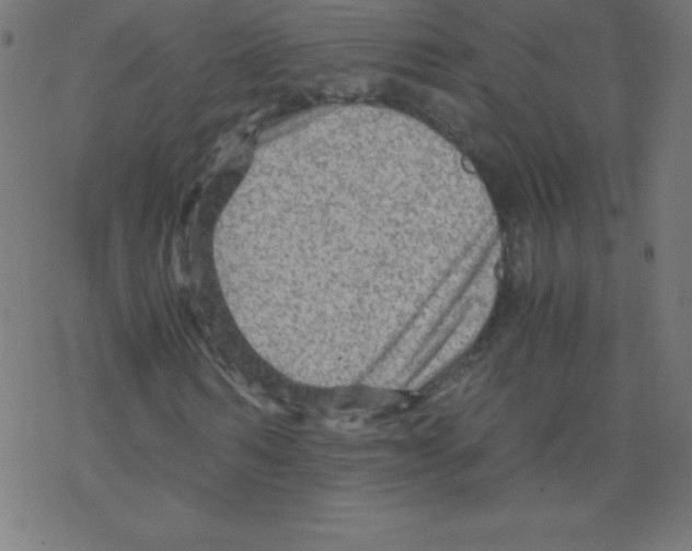 X0000078300962200612011830