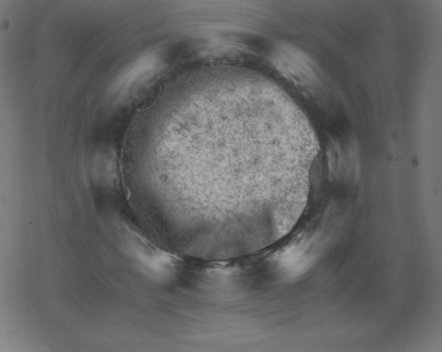 X0000078300963200612011830