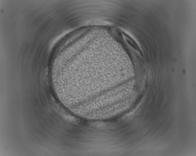 X0000078300971200612011830