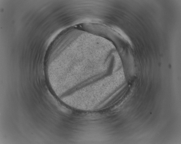 X0000078300972200612011830