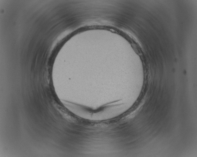 X0000078300974200612011830