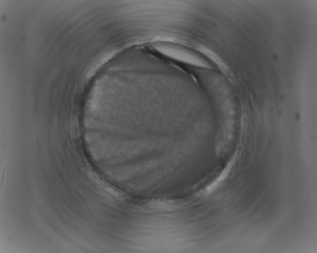 X0000078300977200612011830