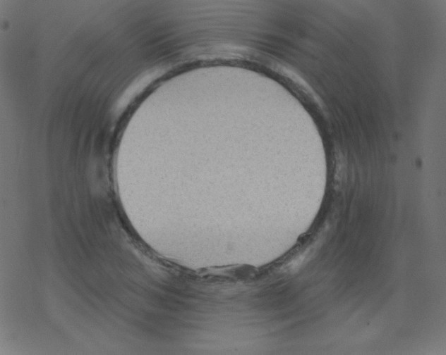 X0000078300978200612011830