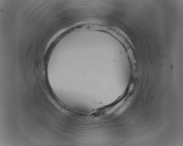 X0000078300981200612011830