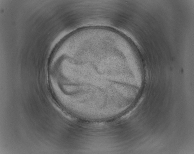 X0000078300982200612011830