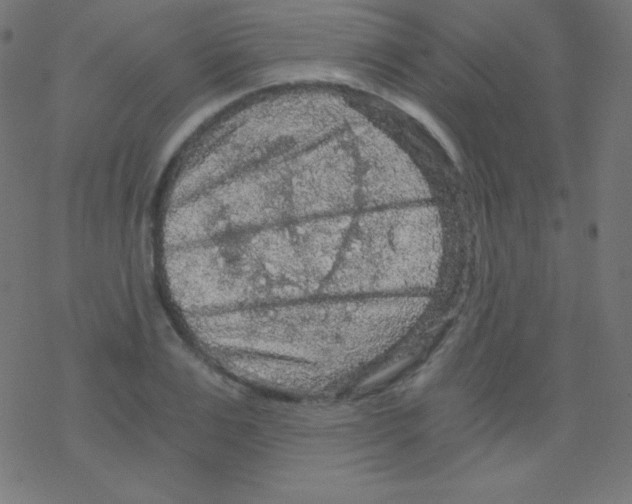 X0000078300983200612011830