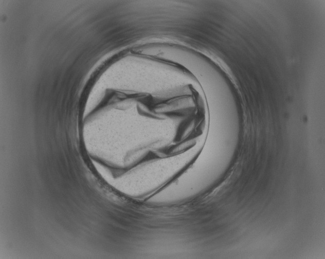 X0000078300984200612011830