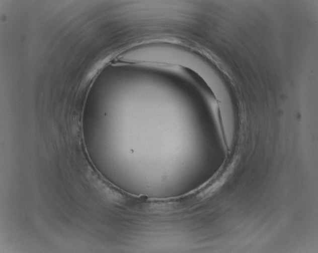 X0000078300985200612011830