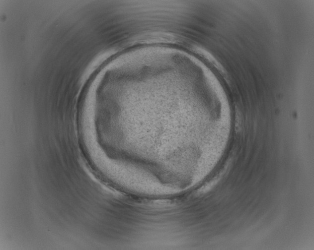 X0000078300986200612011830