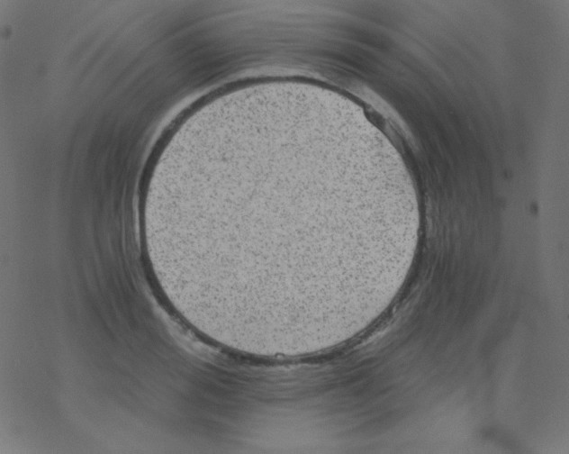 X0000078300988200612011830