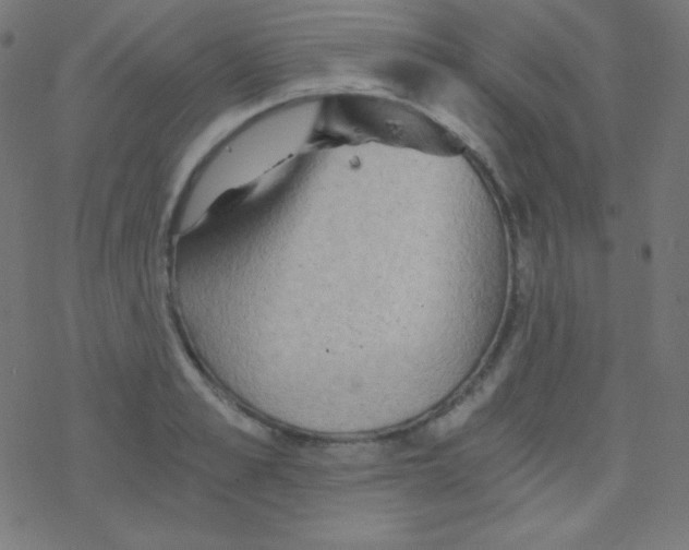 X0000078300989200612011830