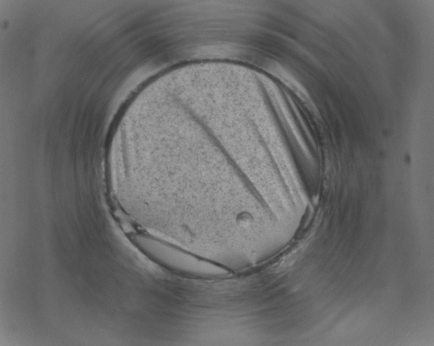 X0000078300992200612011830