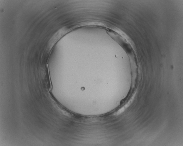 X0000078300993200612011830