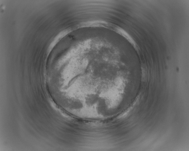 X0000078300994200612011830