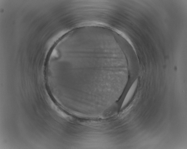 X0000078300995200612011830