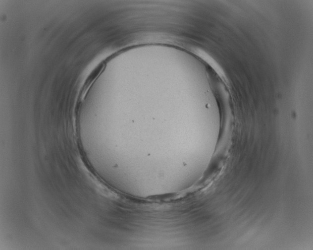 X0000078300996200612011830