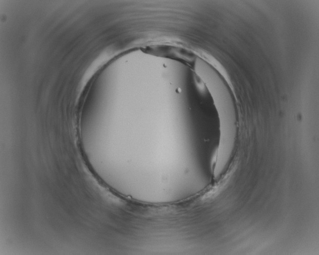 X0000078300997200612011830