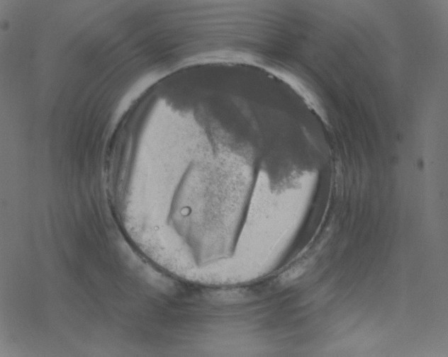 X0000078300998200612011830