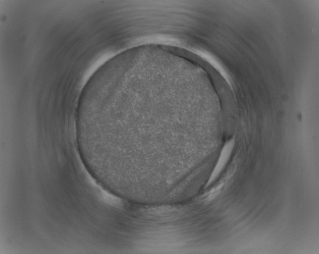 X0000078300999200612011830