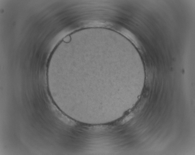 X0000078301000200612011830