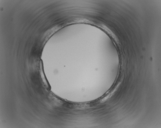 X0000078301001200612011830