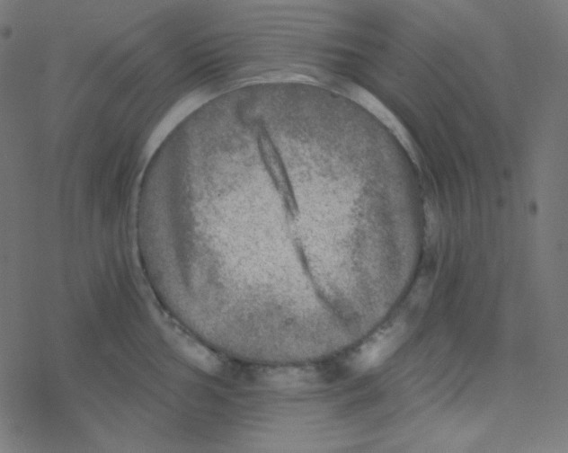 X0000078301002200612011830