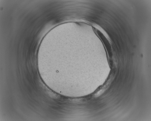 X0000078301004200612011830