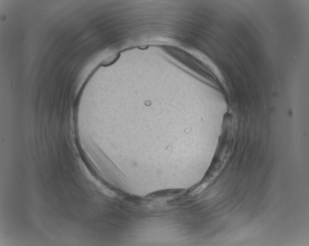 X0000078301006200612011830