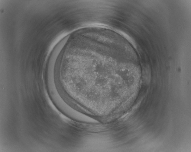 X0000078301007200612011830