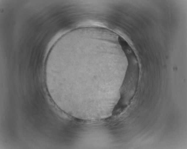 X0000078301008200612011830