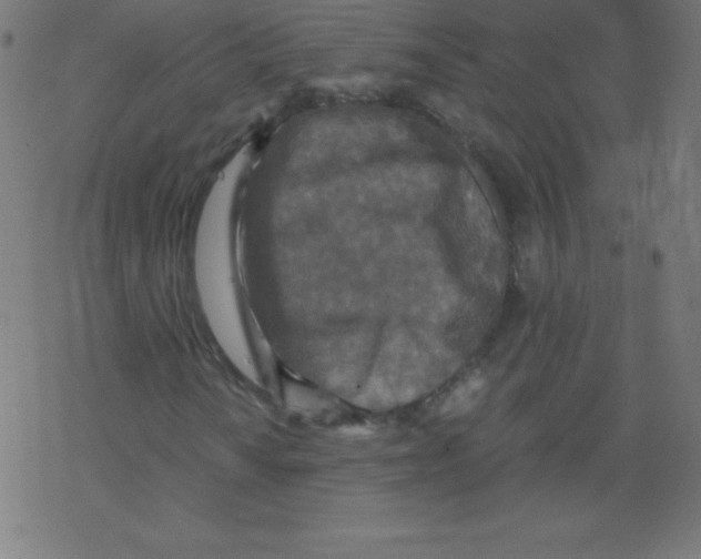 X0000078301010200612011829