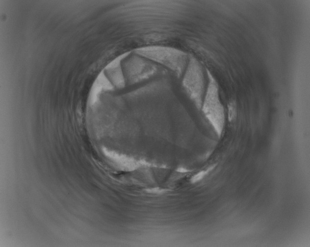 X0000078301011200612011829