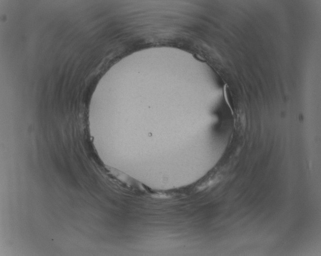 X0000078301012200612011829