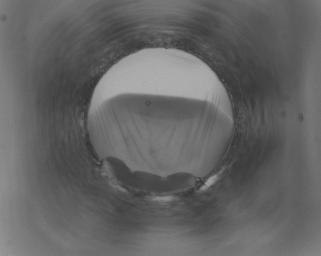 X0000078301013200612011829