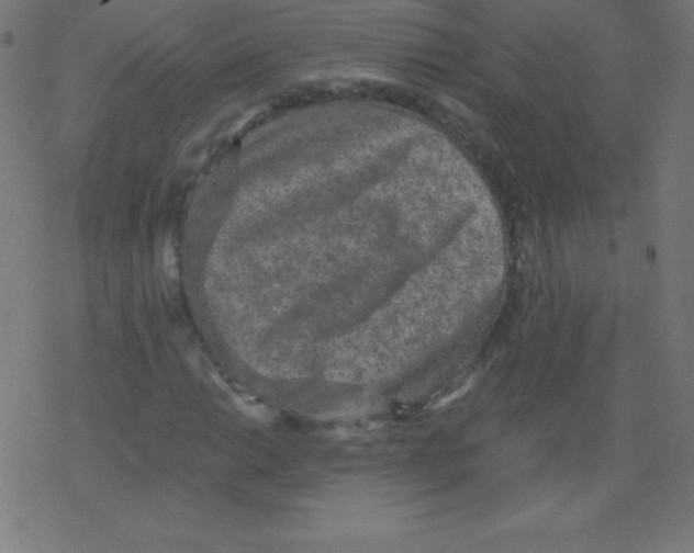 X0000078301014200612011829