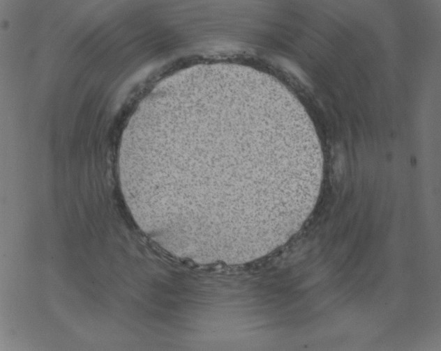 X0000078301016200612011829