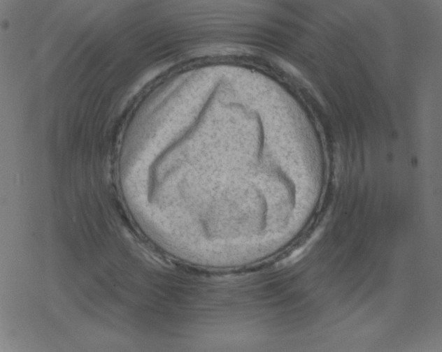 X0000078301017200612011829