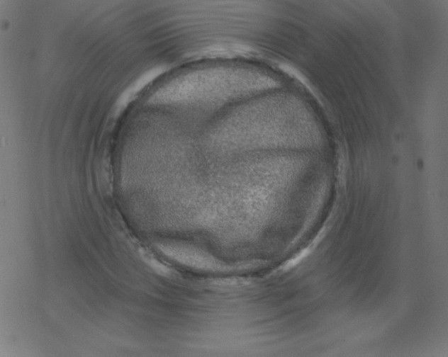 X0000078301018200612011829