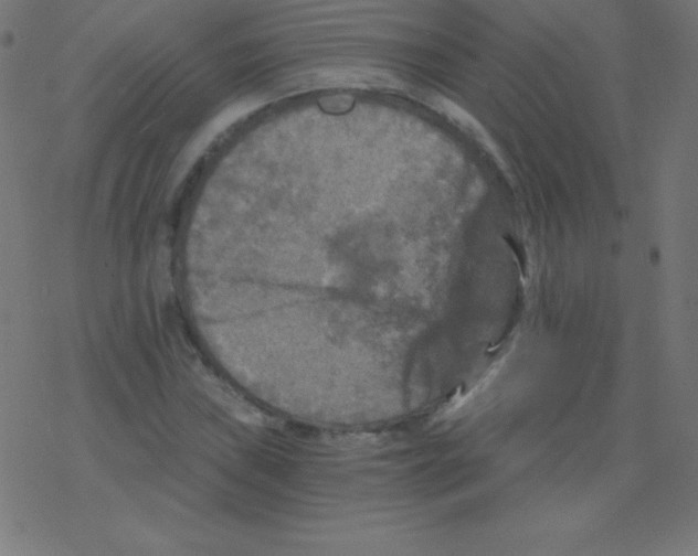 X0000078301019200612011829