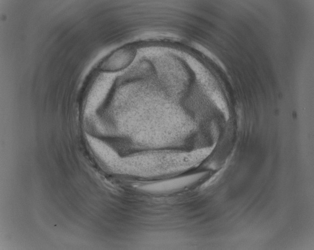 X0000078301021200612011829